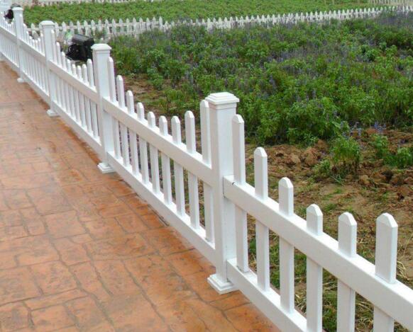 �Ĵ���ƺ԰�ֻ���